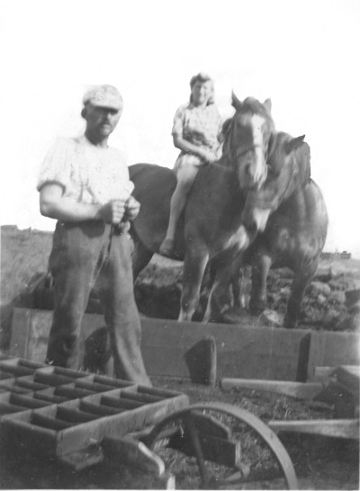 Morfar i t&oslash;rvemosen