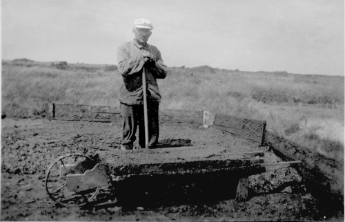 Morfar i t&oslash;rvemosen ved S&oslash;ndersejerslev