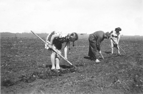 Olivia, Sofies far og Sofie i marken