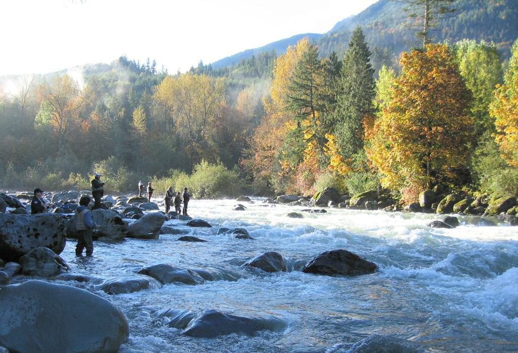 Vedder River ved Chilliwack