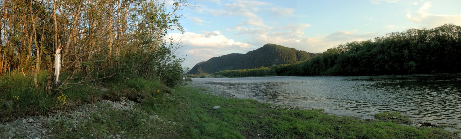 Panorama over Borten Losen valdet &mdash; Gaula 2007