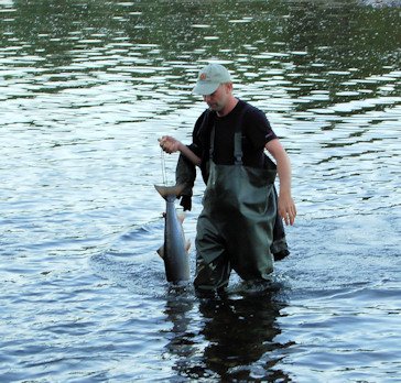 Carl p&aring; vej hjem til lejerbålet