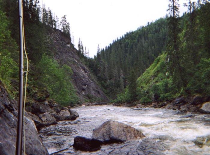 Bua elven &mdash; Gaula sideelv