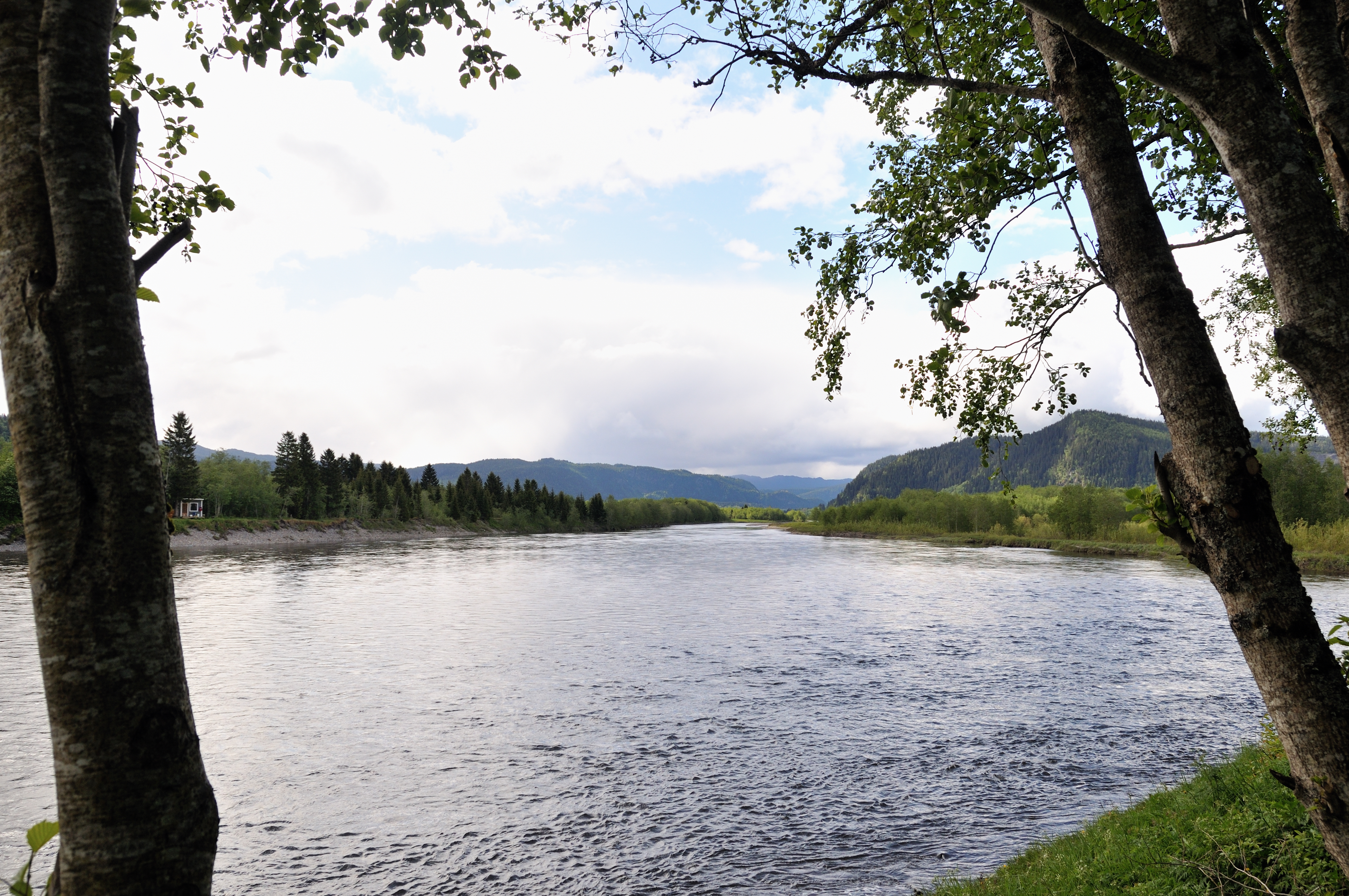 Kåsen valdet — bred norsk laksestrækning — Gaula 2012