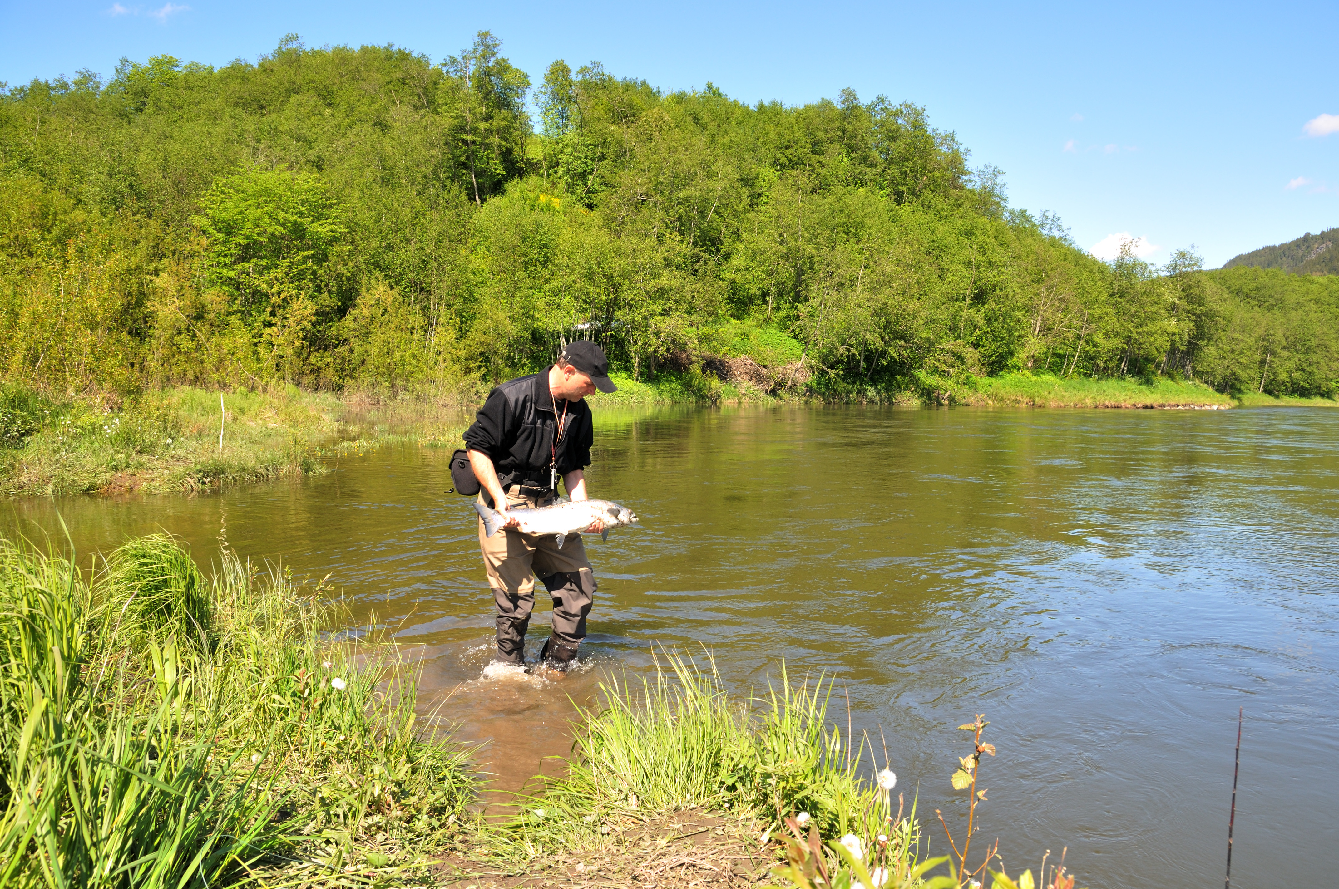 Flot vejr ved Gaula — sol og blå himmel — 2012