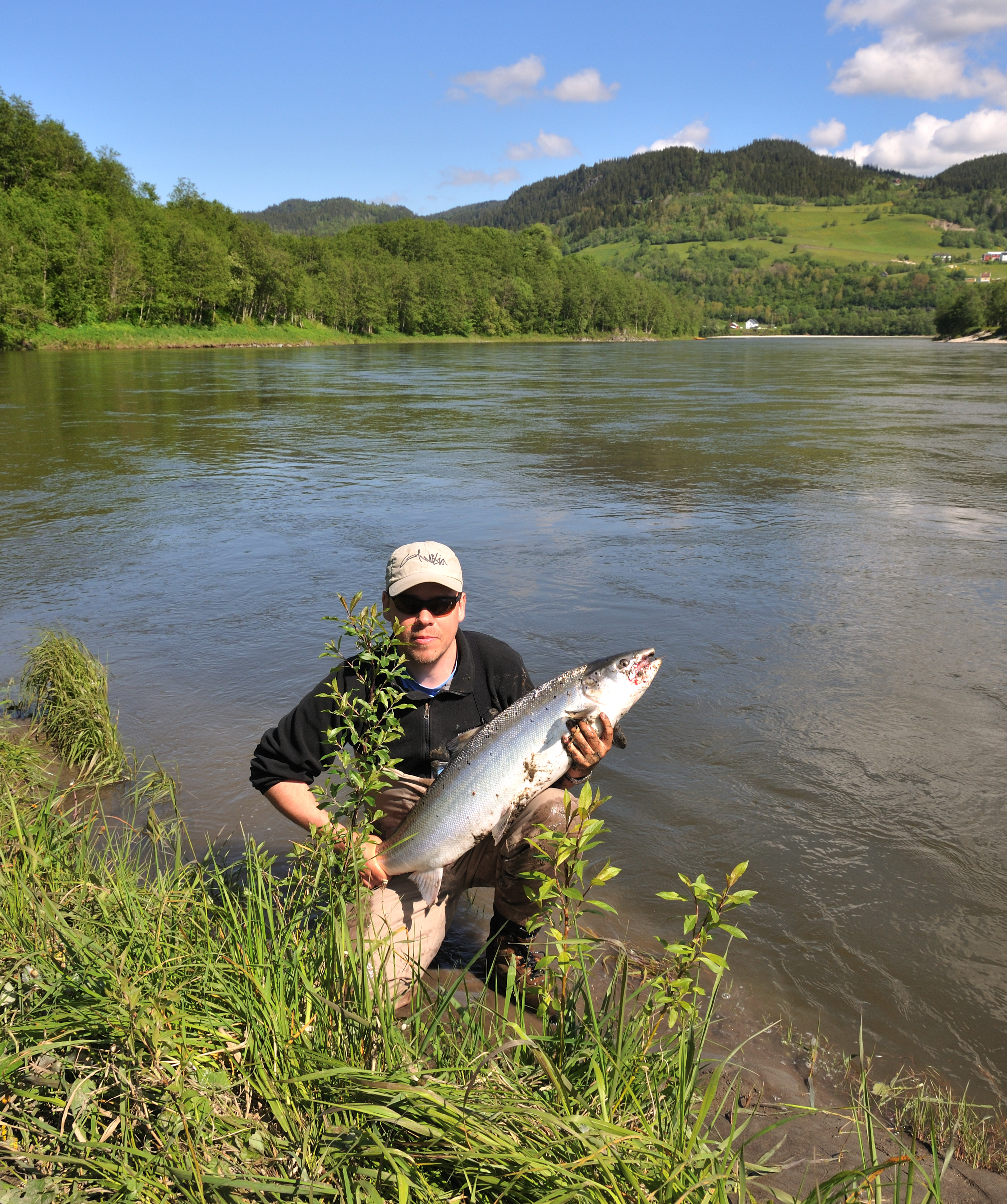 Ole ved Gaula — Gaula 2012