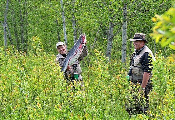 Ole &mdash; K&aring;sen vald 2012