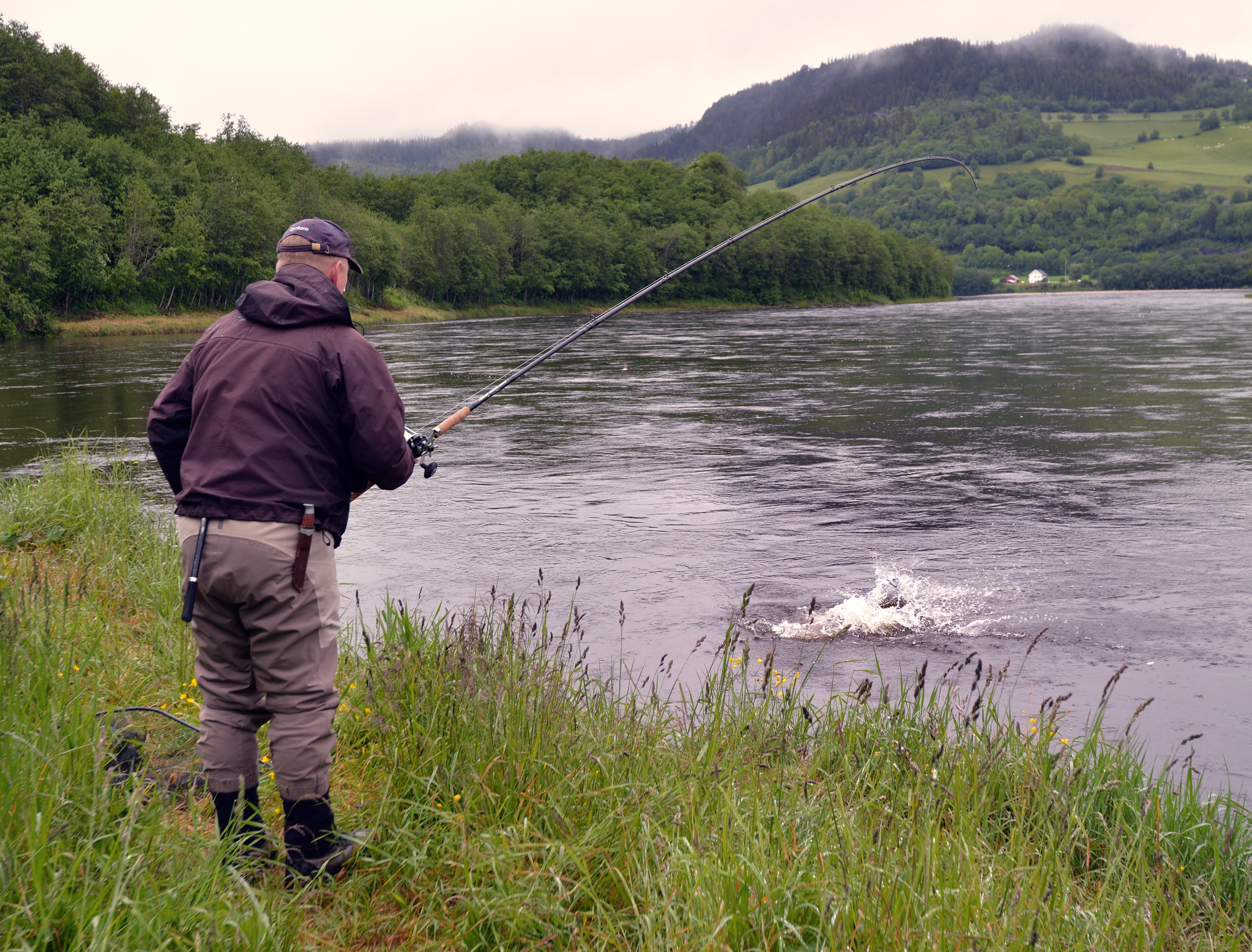Nordmand fra Trondheim med laks på krogen — Gaula 2015