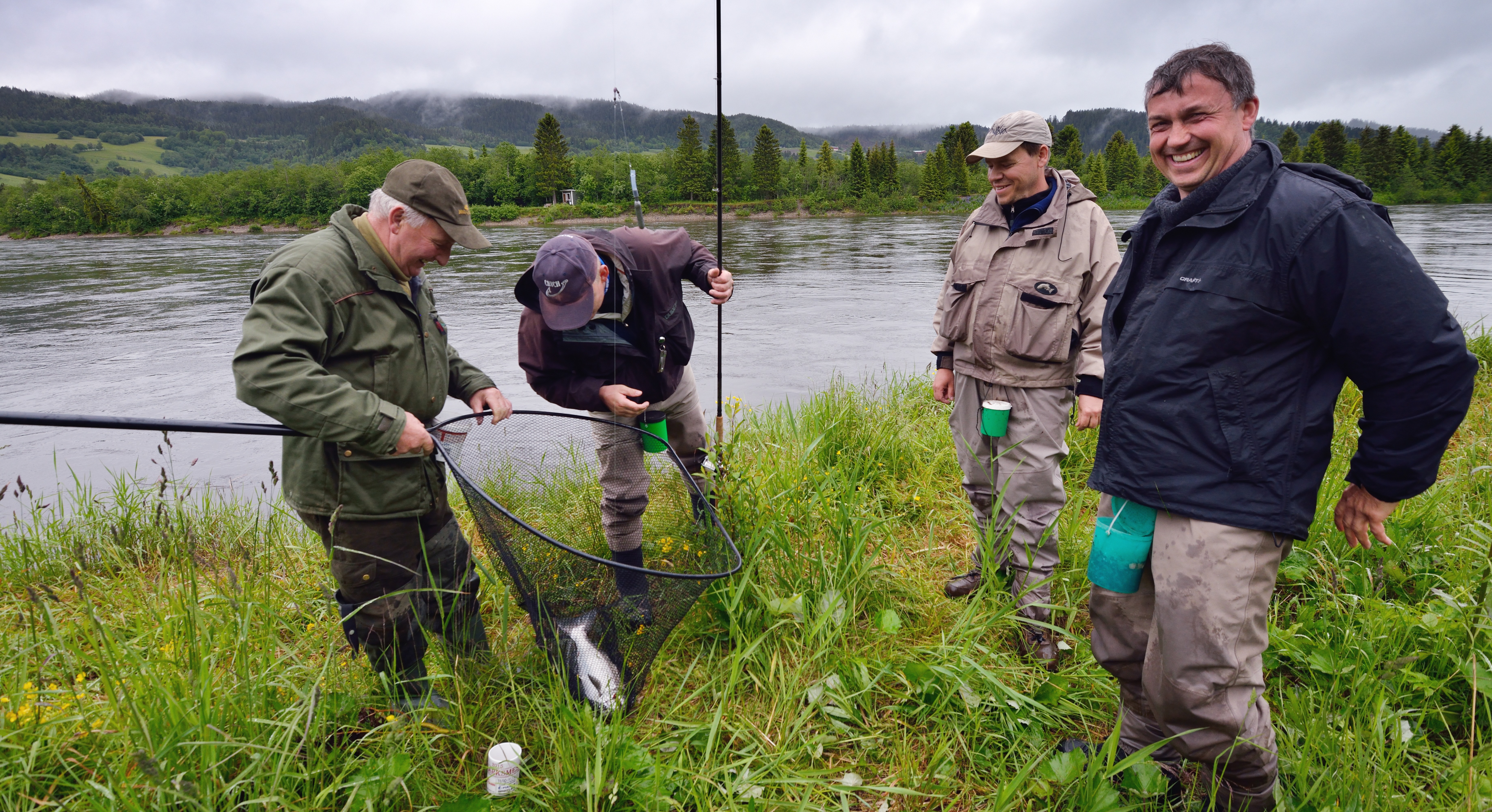 Glade fiskere ved Kåsen valdet — Gaula 2015
