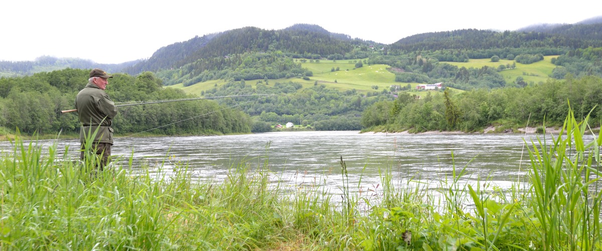 K&aring;sen valdet &mdash; Gaula 2015 panorama