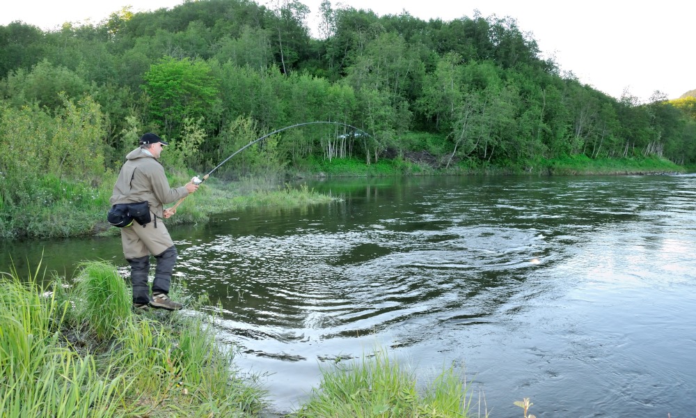 Laksefiskeri i Gaula