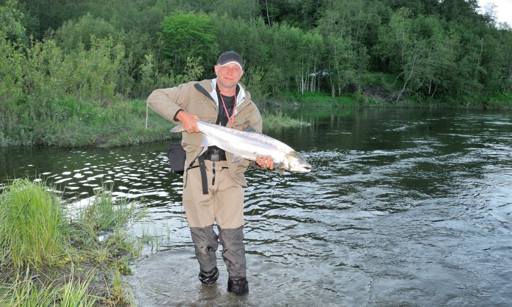 Laksefiskeri i Gaula