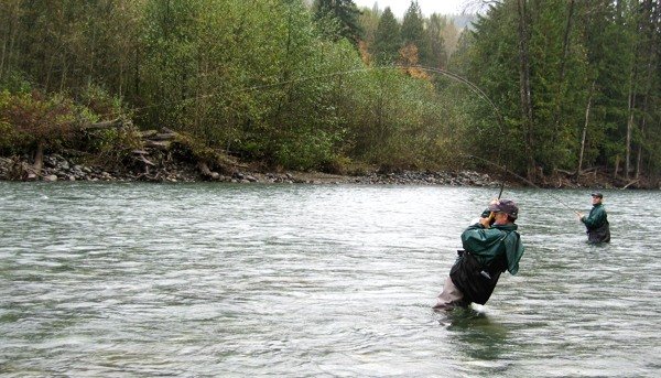 Kongelaks i British Columbia