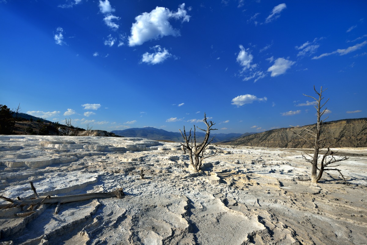Mammoth Hot Springs, Yellowstone