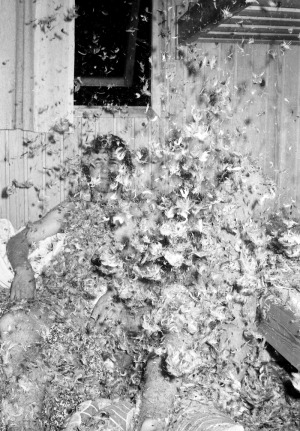 R&oslash;m&oslash; sommerhus