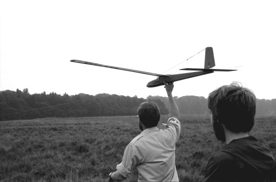 Sv&aelig;vefly i Dyrehaven