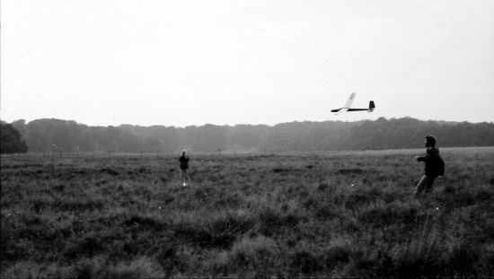 Sv&aelig;vefly i Dyrehaven