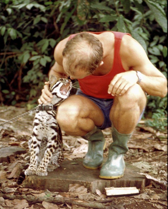 Carl med ocelot i junglen