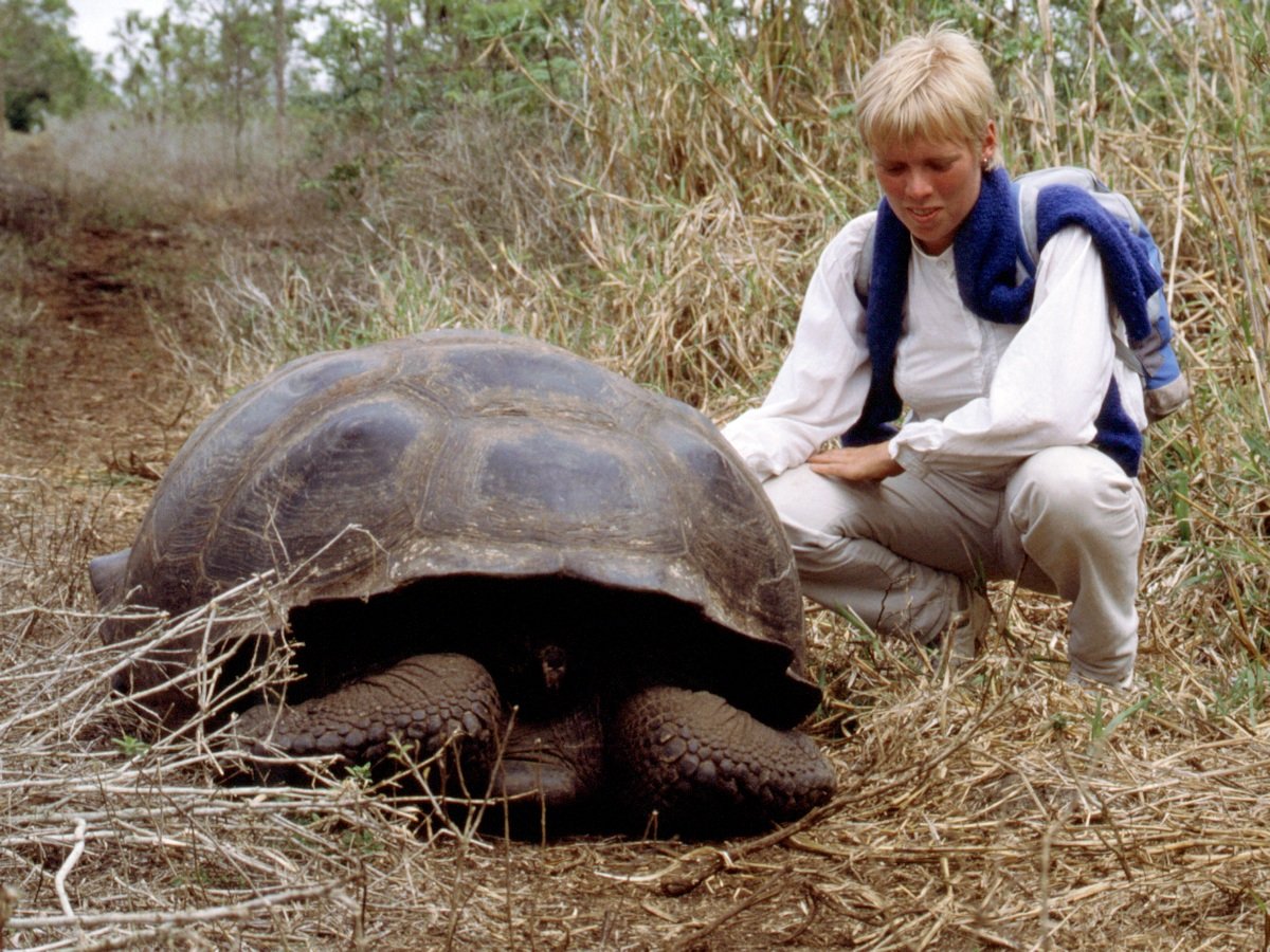 Karin med kæmpe skildpadde på Galapagos