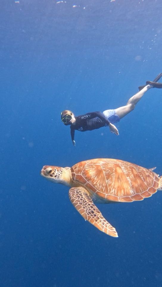 Bohol Bee Farm &mdash; Panglao Island