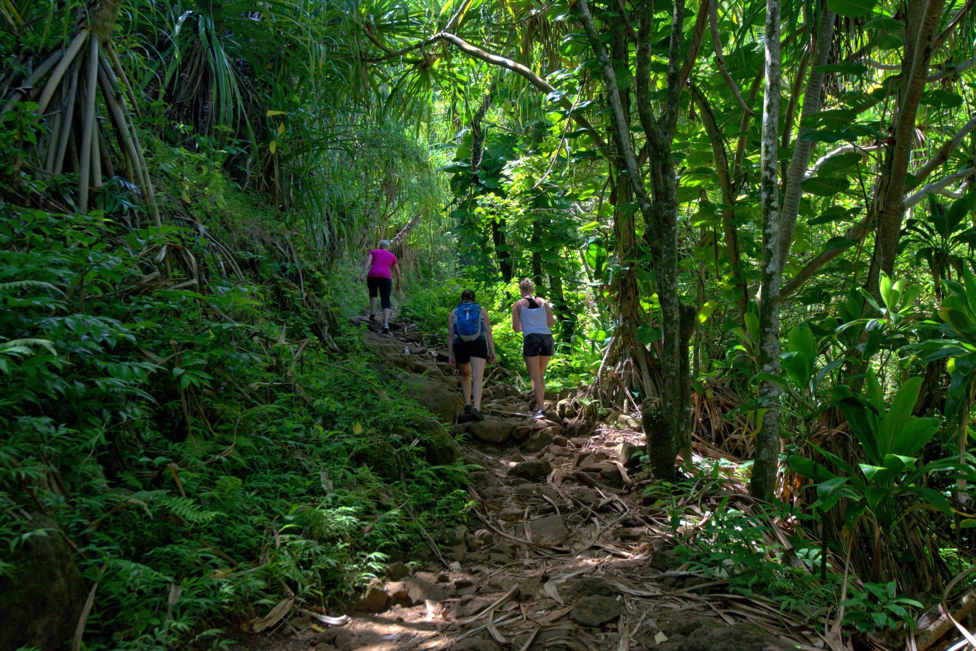 Na Pali Coast &mdash; den vilde kyst