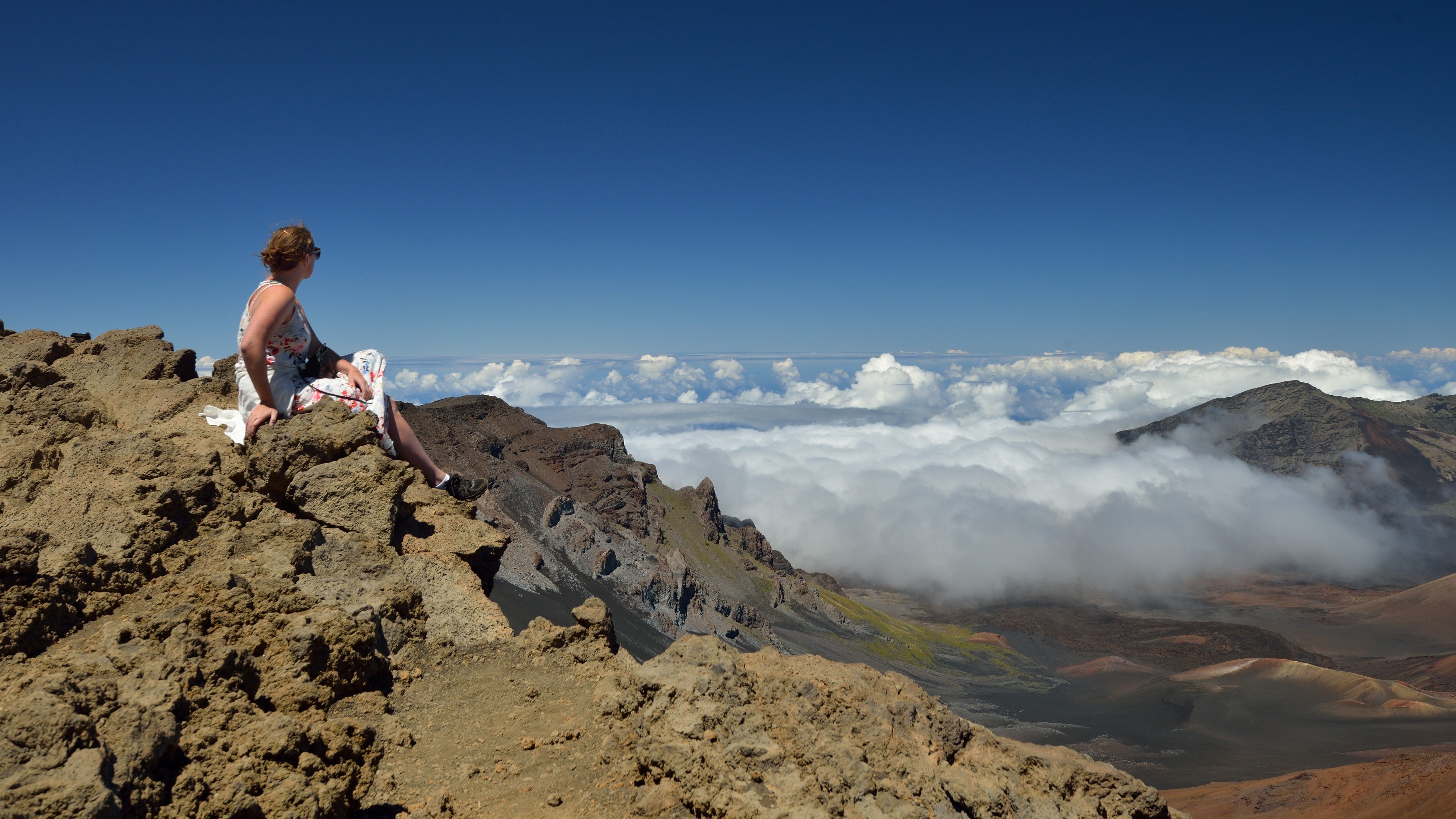 Haleakala kraterlandskab &mdash; naerbillede