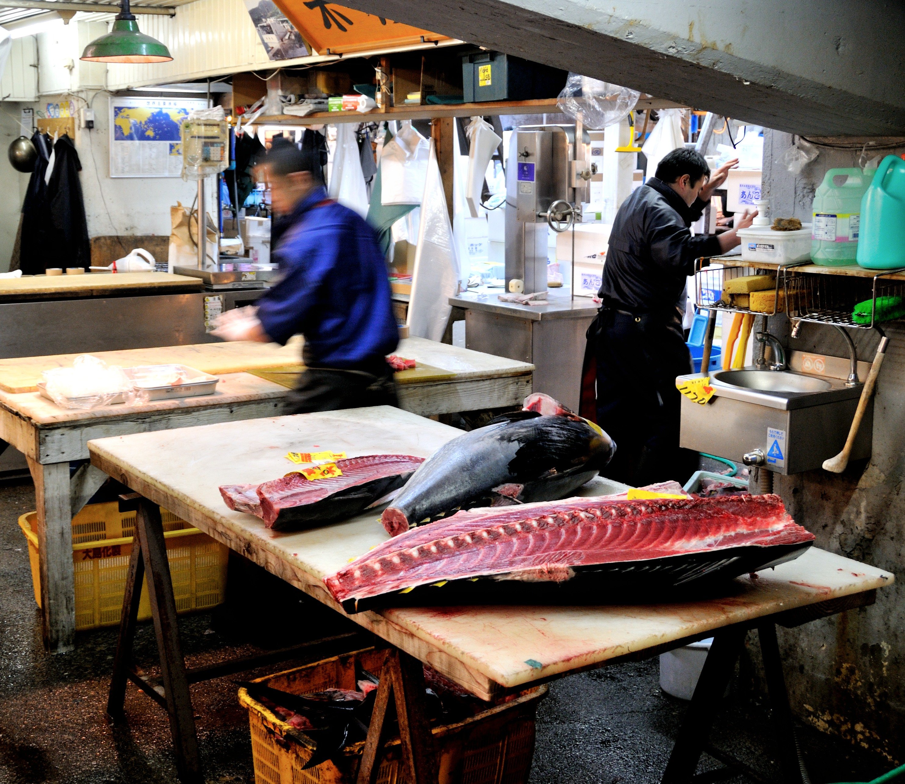 Fiskemarkedet i Tokyo
