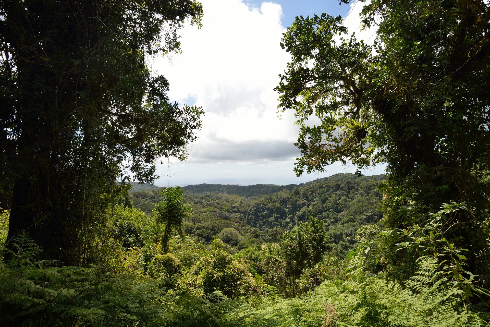 Montagne d'Ambre National Park