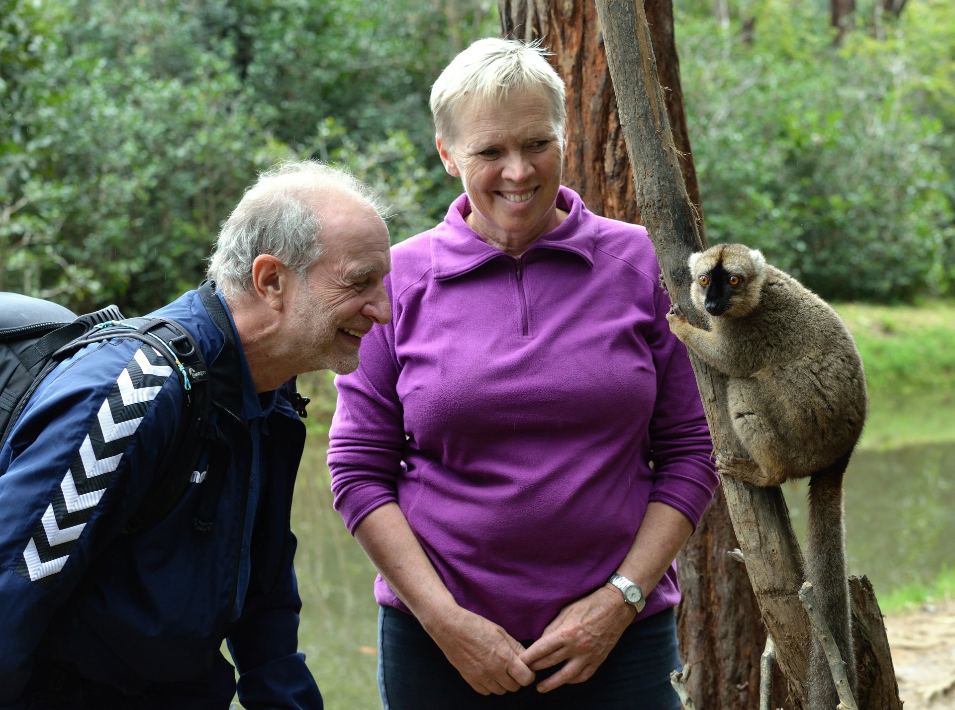 Carl, Karin og en lemur
