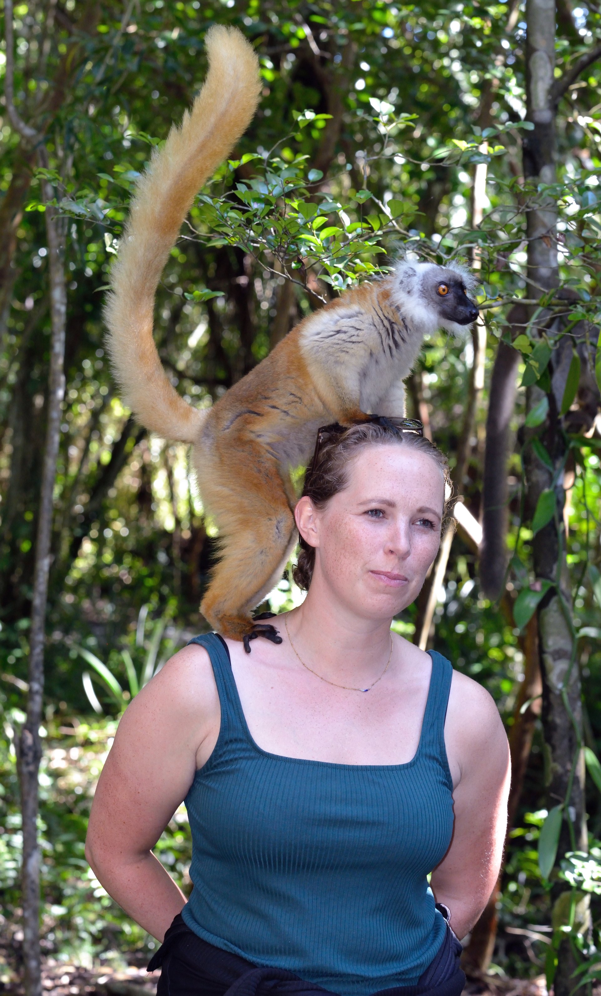 Lemur hopper ned på Frejas hoved