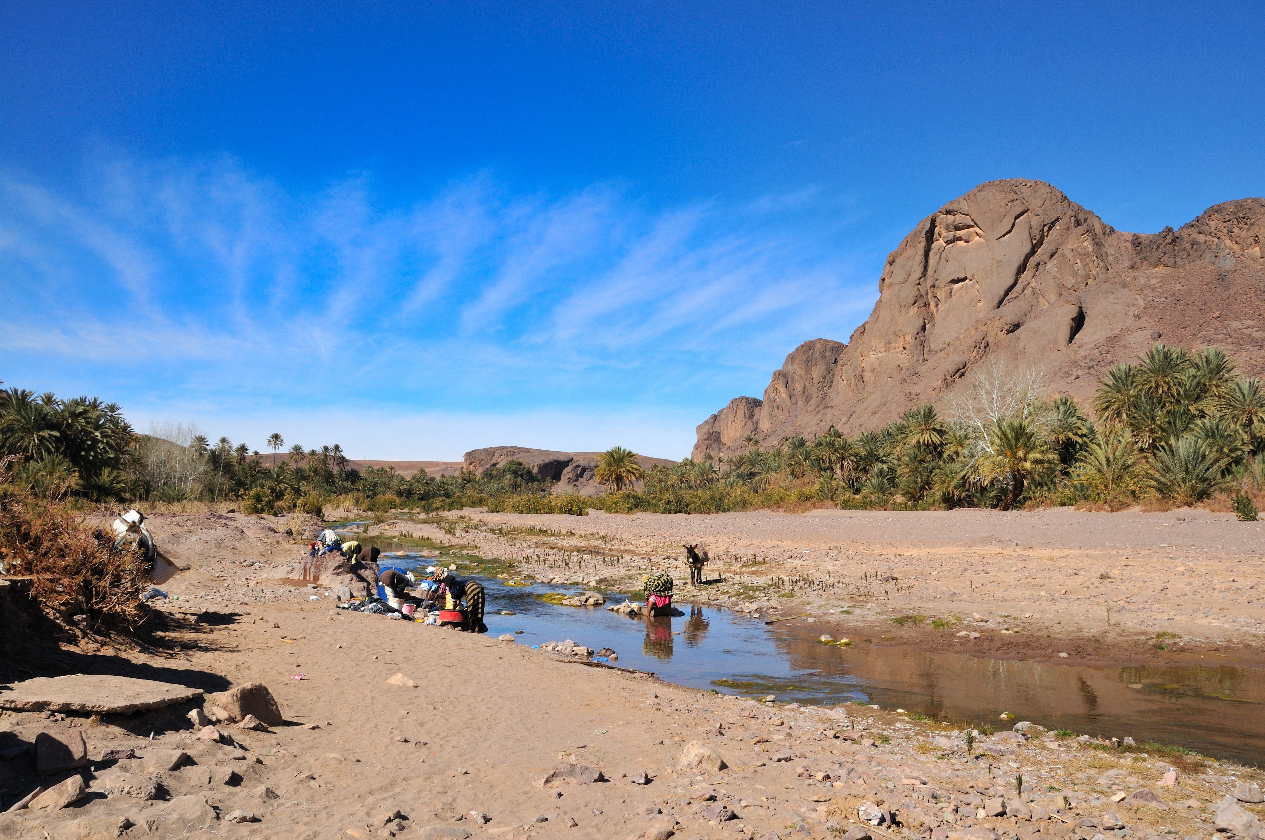 Den lille og smukke oase Fint uden for Ouarzazate