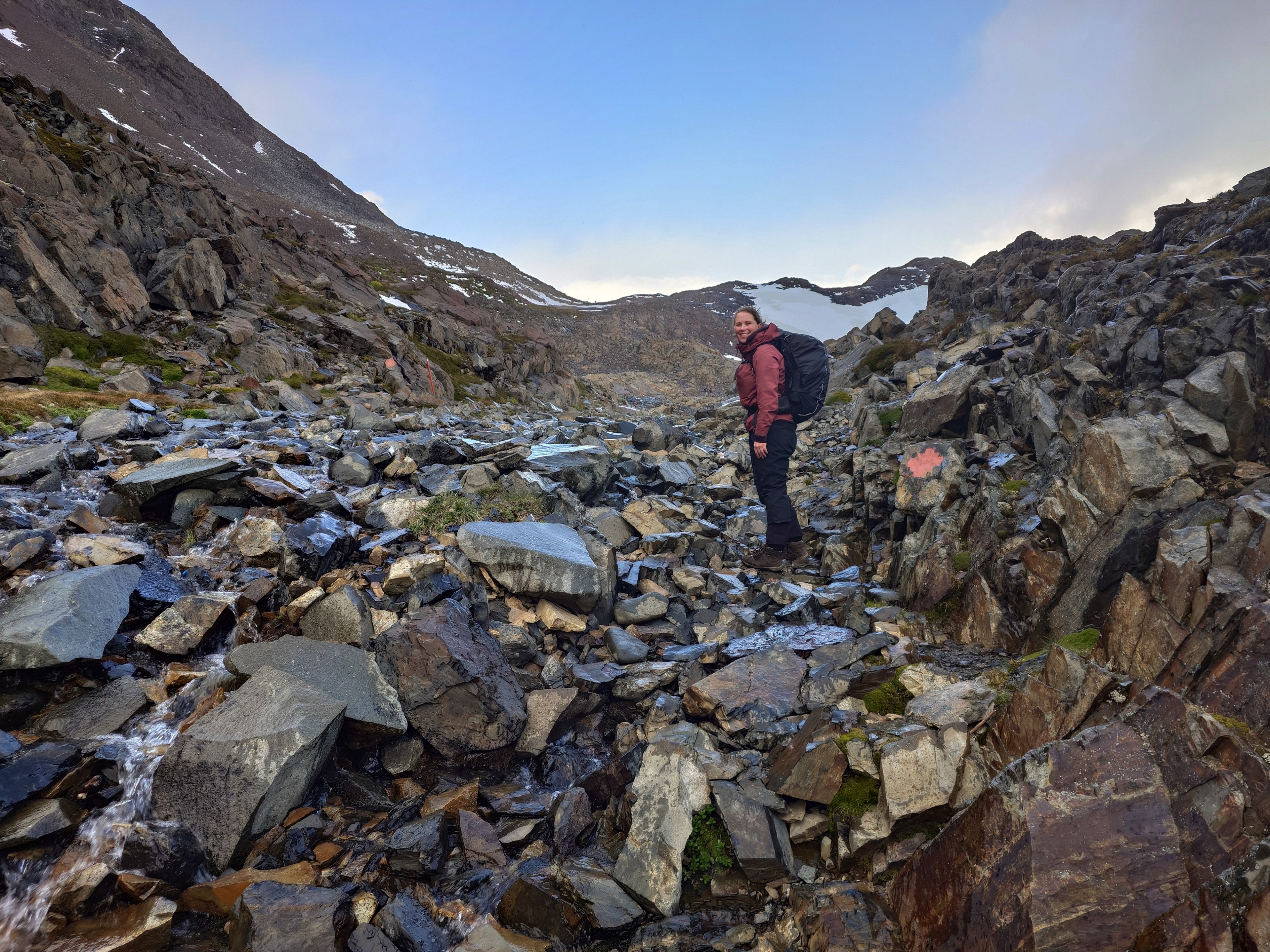 Passet &mdash; sne i sommerm&aring;nederne