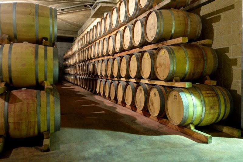 Fade af egetræ på et lille sted