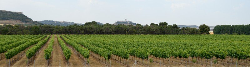 Udsigten over slottet i Peñafiel