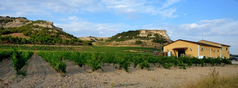 Valdecuriel Bodegas tæt på Peñafiel