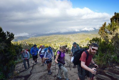 Machame-ruten, Kilimanjaro