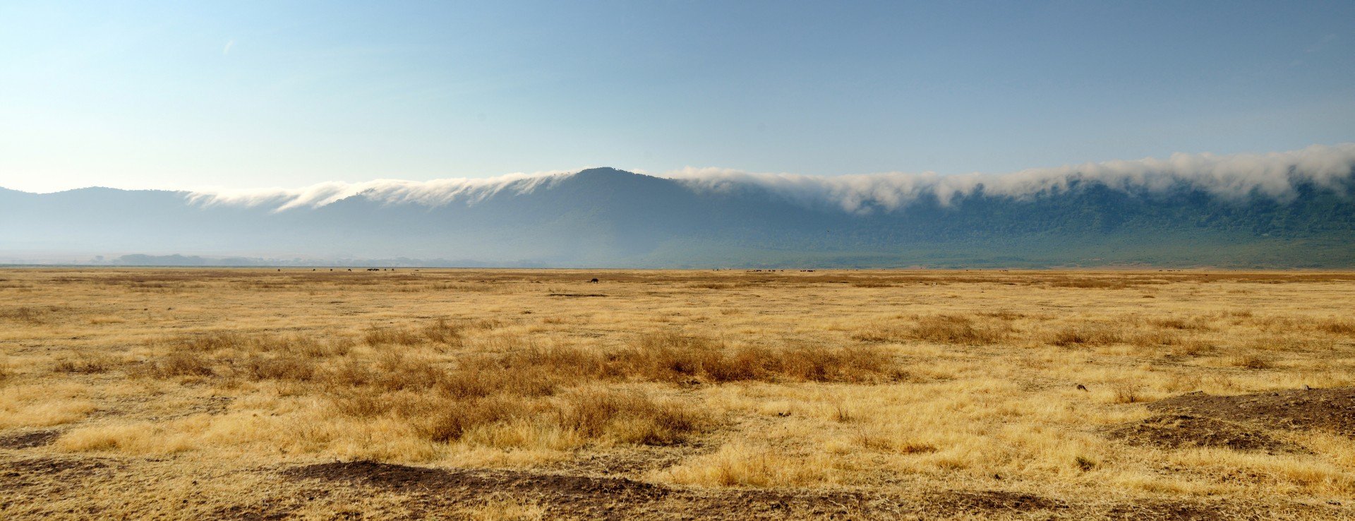 Ngorongoro panorama