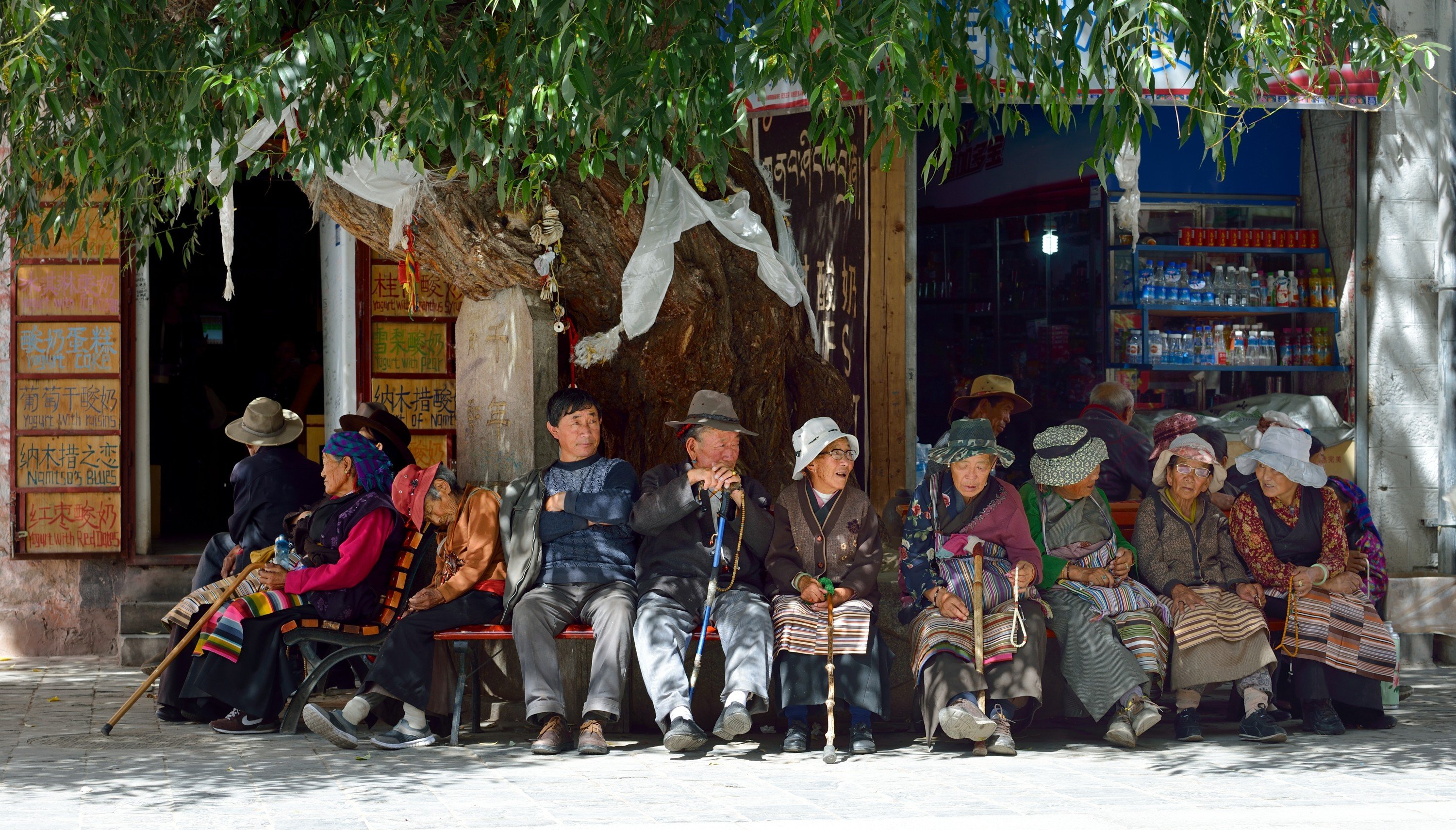 Lhasa bybillede med Potala i baggrunden