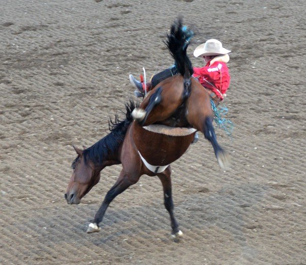 Rodeo show i Cody, Wyoming
