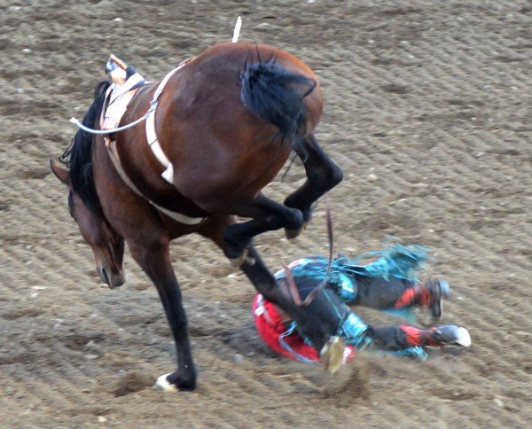 Rodeo i Cody — det er IKKE skuespil