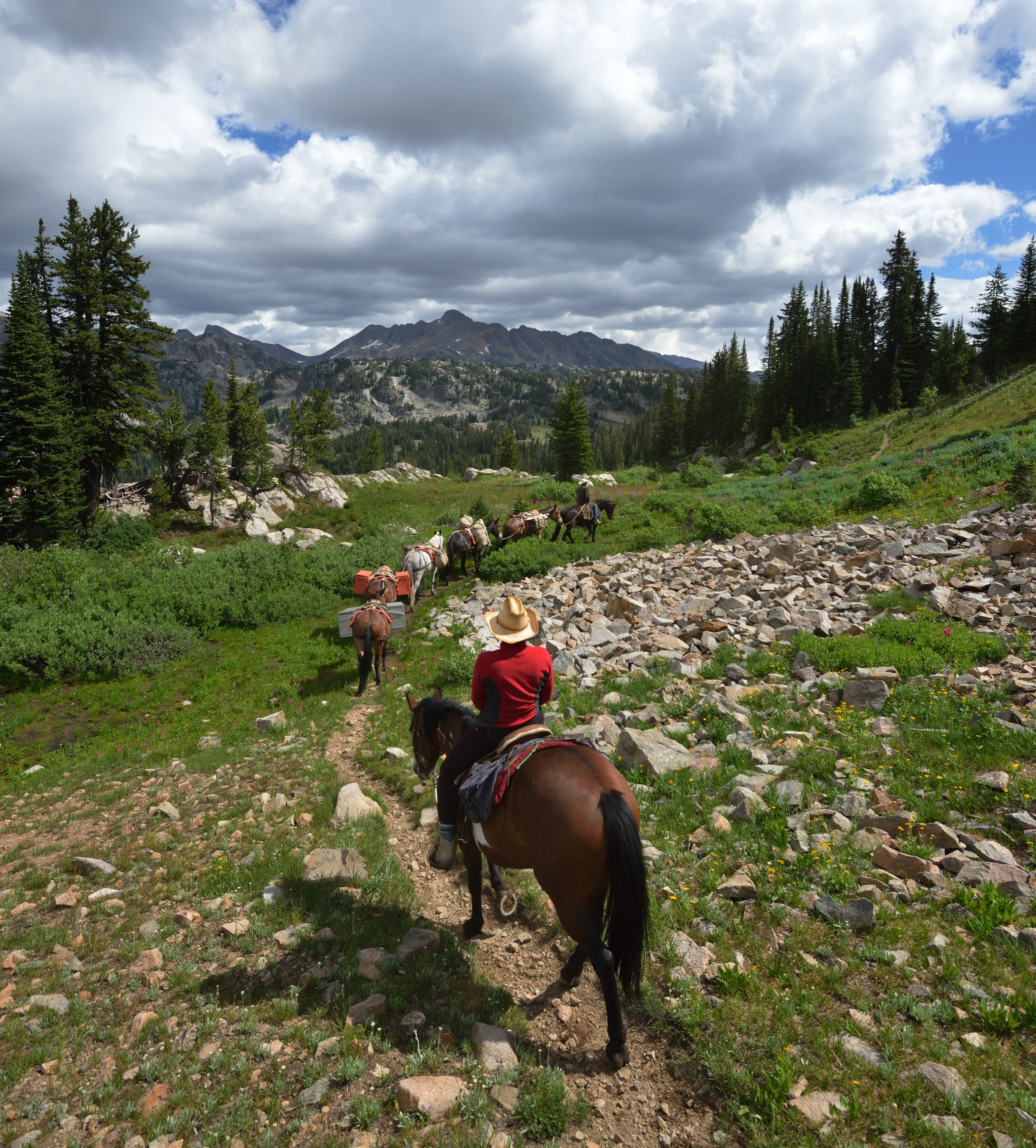 Karin og Matt på hesteryg i Beartooth Mountains, Montana