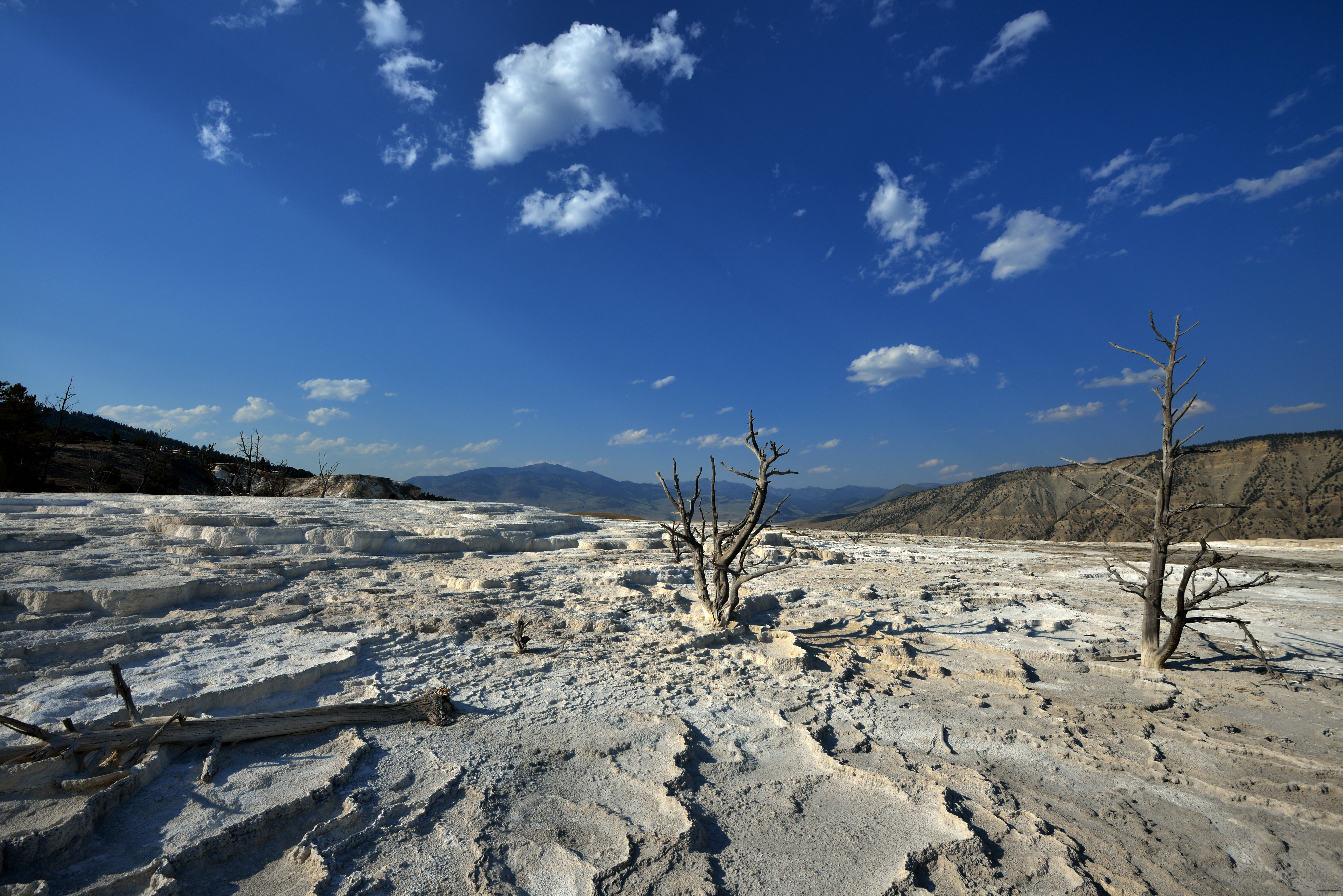 Monument Geyser Basin — mineralaflejringer og damp