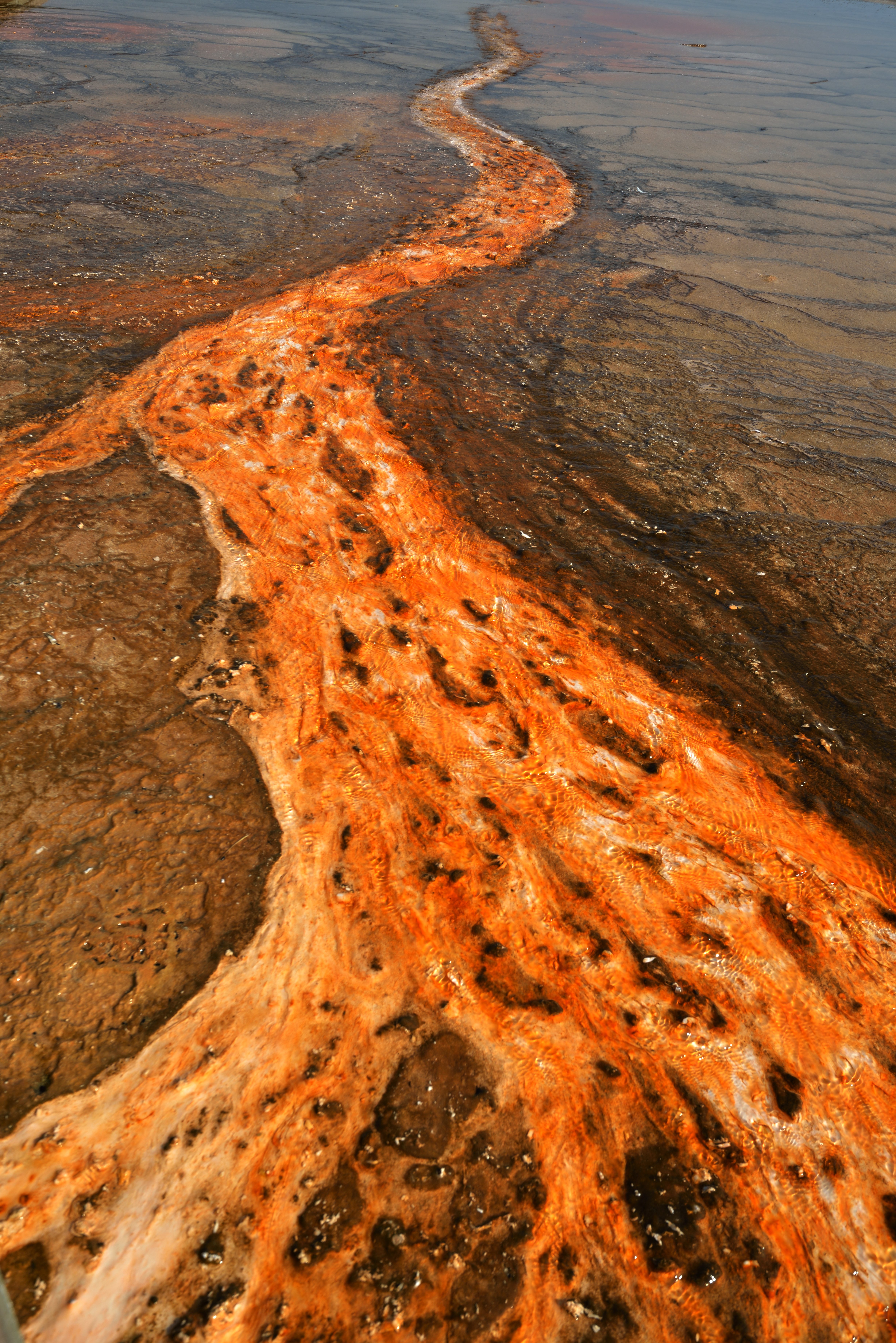 Mineralholdig vandstrøm — verden i stadig forandring