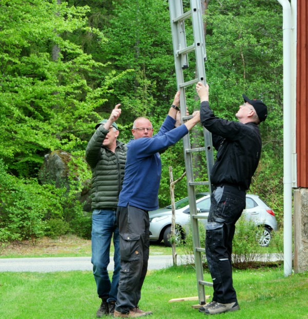 Frede, Henrik og Peter og en 8m stige — vedligeholdelse